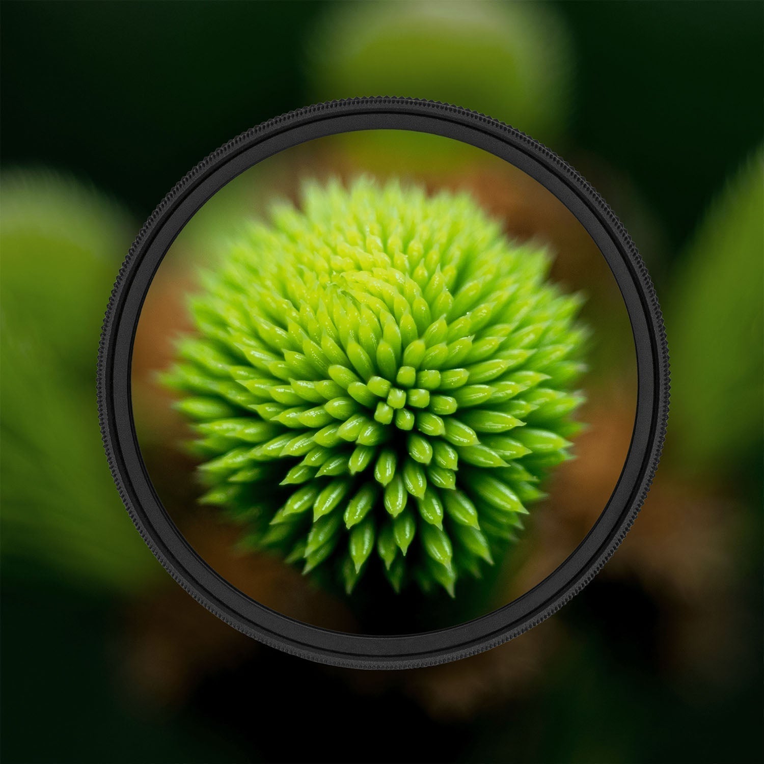 Filtru Macro CloseUp +10, KnightX, 67mm, Slim